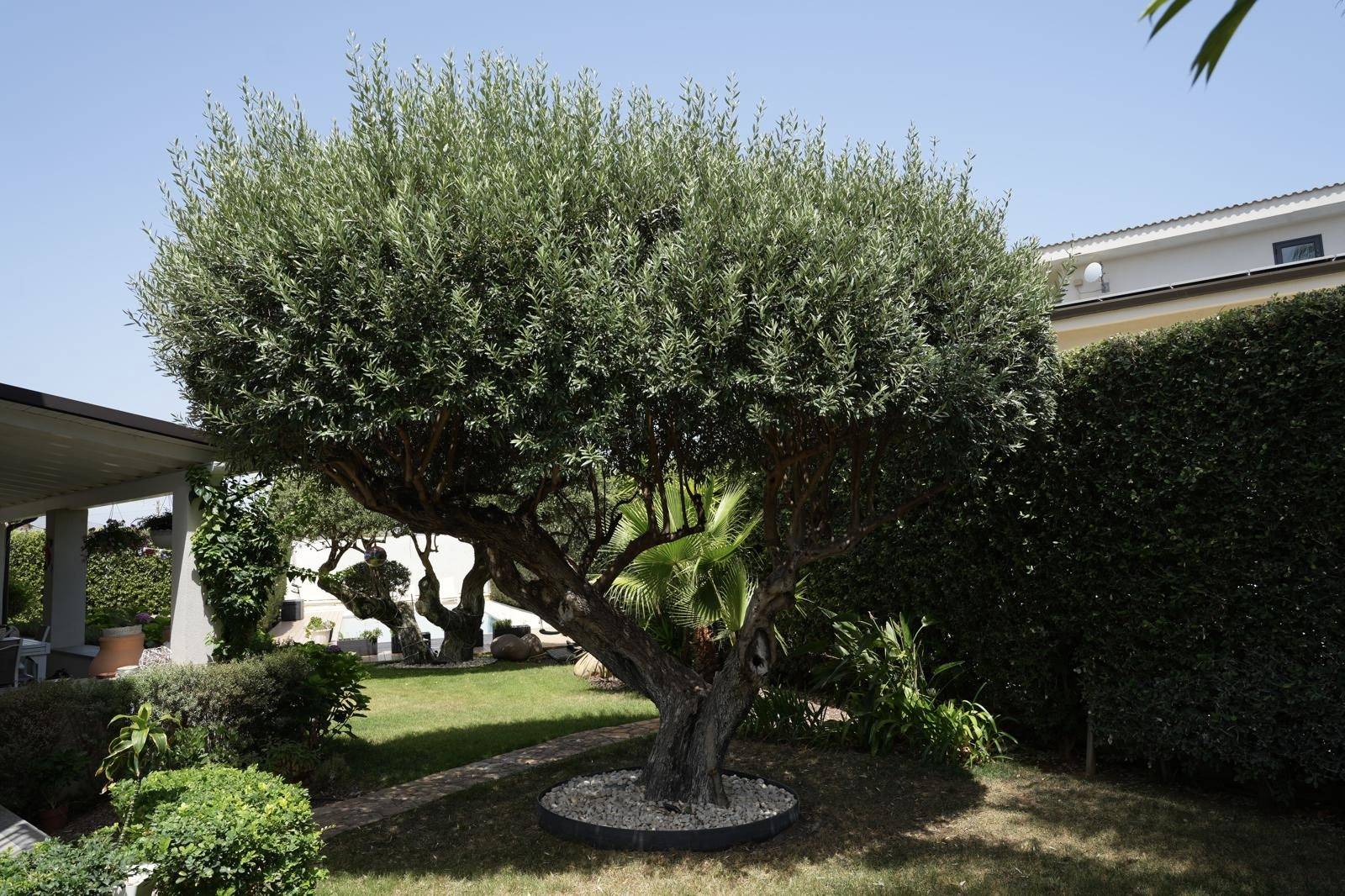 VILLA CON PISCINA ALTAVILLA MILICIA